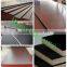 Shandong Multi Wood Sheets with Best Quality