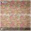 Beautiful pattern mesh fabric/printed mesh fabric for clothing/