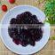 Canned Blackberry Pie Filling & Topping 410g