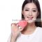 Taiwan Online Shopping Hot New Sonic Silicone Facial Cleasing Brush