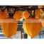 Food clip Dried fruits making clip persimmon clip Made in Japan