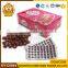 Cola Flavor Chewing Gum Chinese factory