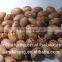Pinto Beans