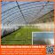 Low cost 100 150 200 micron agricultural greenhouse uv protection blue plastic polyethylene pe plastic protective film