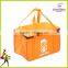 big capacity insulated bright color food cooler