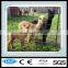 Europe market hot sale horse rail fence profession price