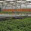 5090honeybomb water evaporative solar greenhouse paper cooling pad
