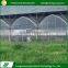 Newest various type europe type plastic greenhouse price