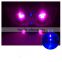 UV Light Lamp Malaysia Greenhouse Horticulture Used LED Grow Light