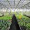 galvanized steel frame greenhouse