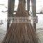 Coconut Broom With Handle