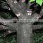 SJ11 Artificial banyan tree manufacturer in Guangzhou