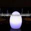 RGB Indoor Restaurant Living Room waterproof Egg Shape Decor LED Soft Light