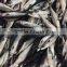 dried fish skin frozen mackerel