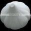 storage container garlic