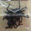 Realistic Design Halloween Tricky Black Plastic Insect