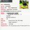 Wholesale new product milan grass topiary animal for garden decoration
