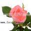 Supply rose fresh cut rose flower diana with 20stems/bundle from china alibaba kenya