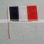 Promotion Country Hand Flag
