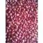 peanut  kernels RED type
