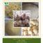 dried garlic powder