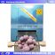 Hot selling glue pudding machine/Rice Glue Ball Machine rice dumpling machine