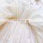 South Korea Ins girls autumn and winter white snow long-sleeved princess dress female baby princess dress dress tutu skirt