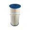 Swimming pool Water Filter Cartridge Filter Filtro de piscina