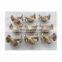 Factory Wholesale Affordable And Durable JIS F7220 Bronze Y Filter Valve 5K And 10K Bronze Y Filter