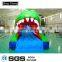 Commercial Outdoor Long Clearance Inflatable Beach Backyard Stair Crocodile Water Park Slides