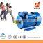 Electrico Single Phase 0.5 HP Electric Motor