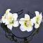 Noble artificial peony flower/ fashion head wreath charming hair hoop