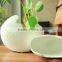 Jingdezhen porcelain ceramic bisque vase crafts for home decoration
