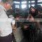 Livestock farming equipment /no-burr cast iron pig slatted flooring
