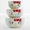 Hello Kitty Lunch Box Mold Injection Manufacturer