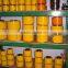 Steel Chain Couplings mechanical type