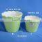 painting unique shape dolomite flower pots