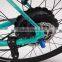 700C Carbon fiber high standard electric bicycle with 8 fun motor (Model YAKE MG)