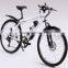 Electric bicycle (Model SEB350U)