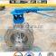 Stainless Steel 1 PC Butterfly Valve DN25