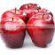 Fresh Huaniu apple with best price for sale