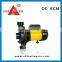 CPM series centrifugal pump