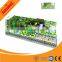 Jungle Themed Popular Kids Indoor Playground For Sale,Soft Modular Playground Manufacturer