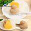 Food Grade TPR animal ice cube tray