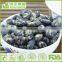 HACCP,ISO,BRC,HALAL Certification wasabi coated beans mix