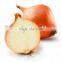 PACK The Natural Onion top crop good price