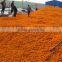 High Quality Marigold Lutein Supplement -GMP Factory