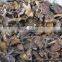 A/B/Cbulk dried oyster mushroom