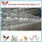 Whole chicken layer cage low price