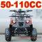 Raptor 110cc ATV